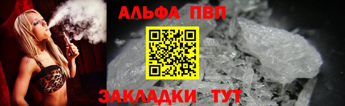 Alfa_PVP СК Брянск