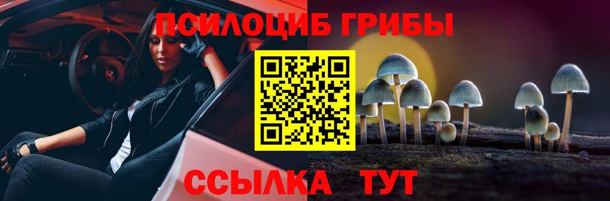 Галлюциногенные грибы мицелий Брянск
